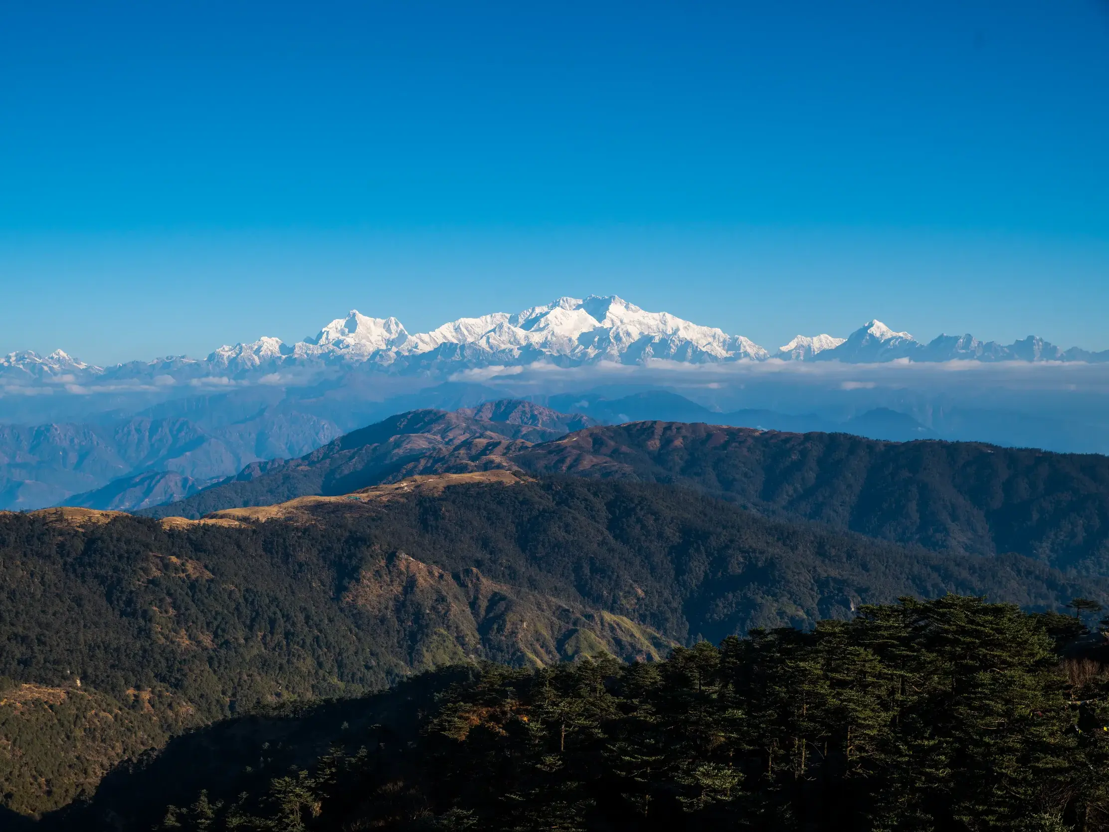 Weitblick beim Trekking über grüne Vorgebirge auf das schneebedeckte Kangchendzönga-Massiv im Himalaya unter klarem Himmel.