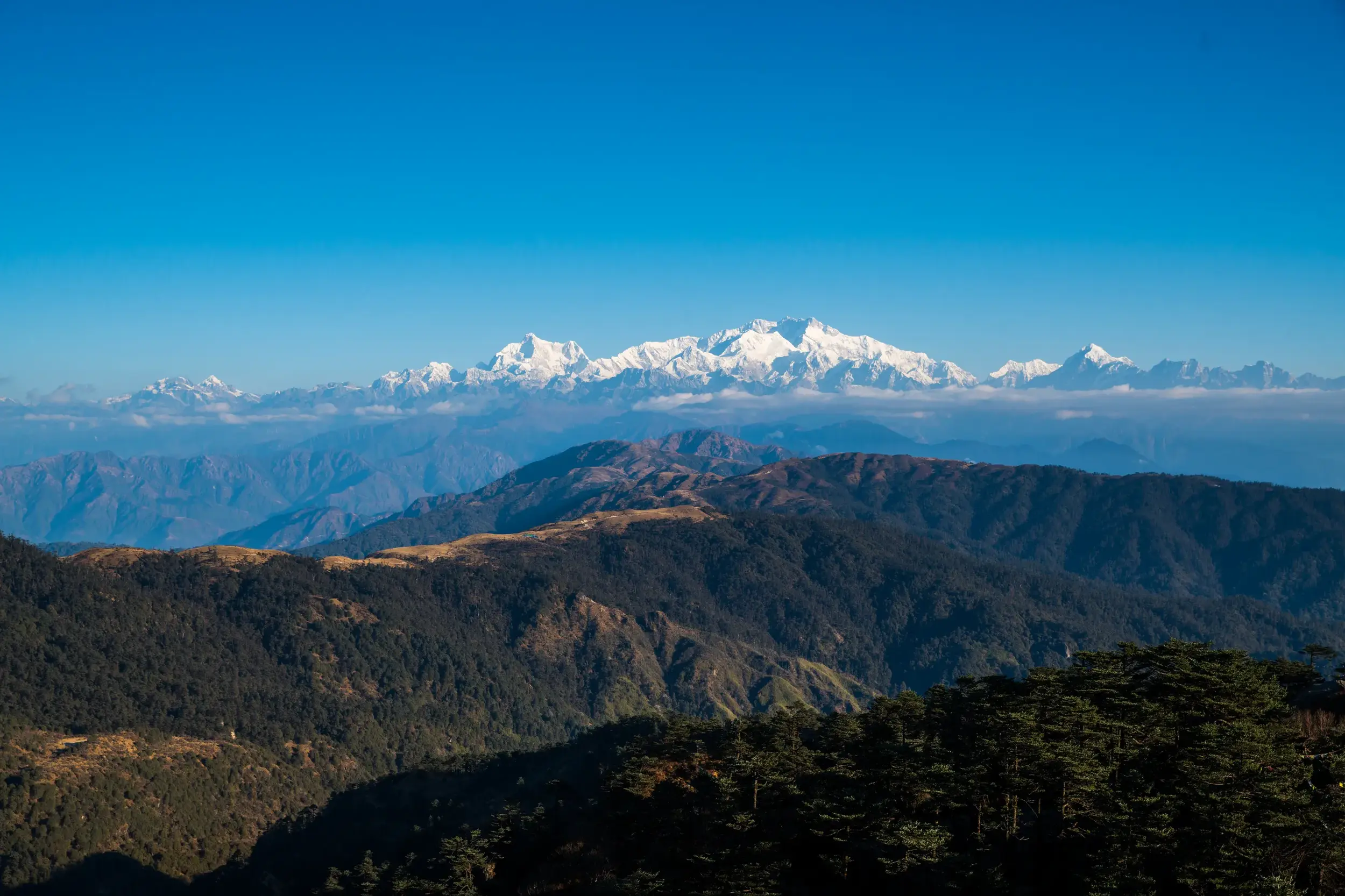 Weitblick beim Trekking über grüne Vorgebirge auf das schneebedeckte Kangchendzönga-Massiv im Himalaya unter klarem Himmel.