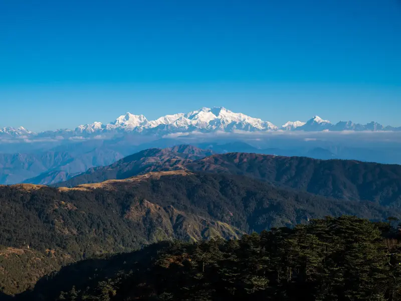 Weitblick beim Trekking über grüne Vorgebirge auf das schneebedeckte Kangchendzönga-Massiv im Himalaya unter klarem Himmel.