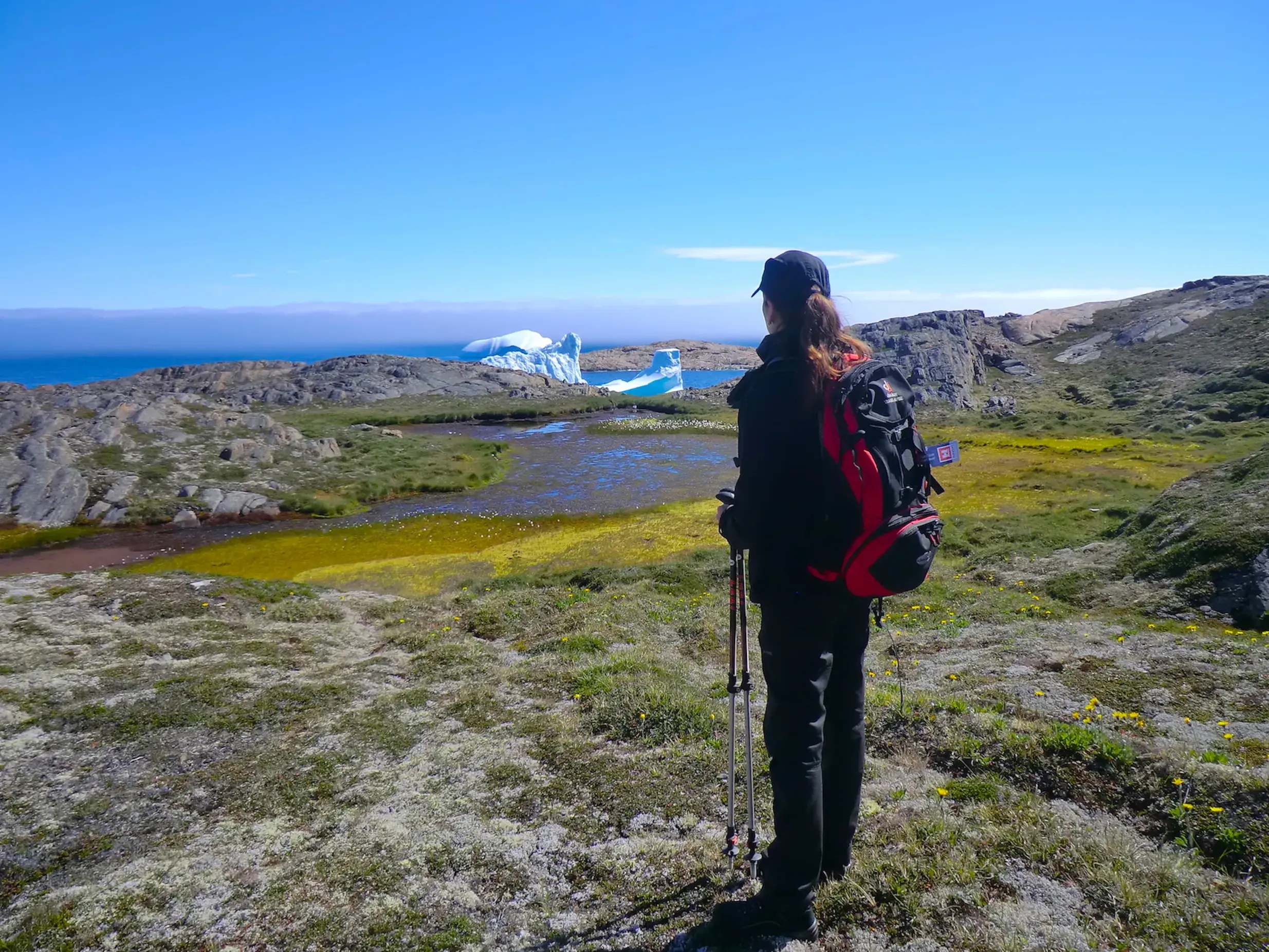 Eine Wanderin mit Trekkingrucksack blickt über die moosbewachsene Tundra auf einen Eisberg in einem Fjord in Ostgrönland.