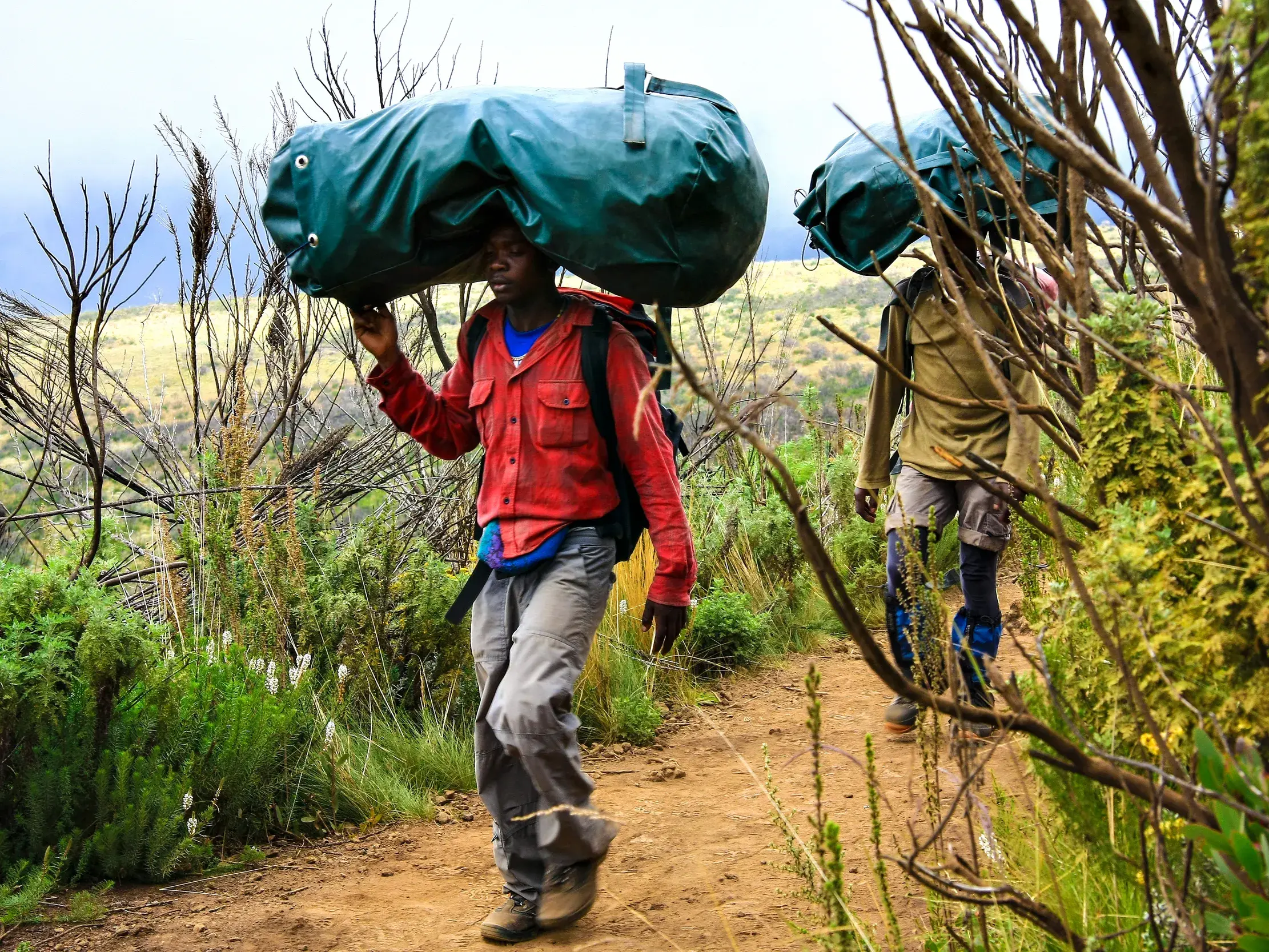 Zwei Träger der lokalen Begleitmannschaft wandern mit Gepäck auf einem schmalen Pfad auf der Marangu-Route am Kilimanjaro.