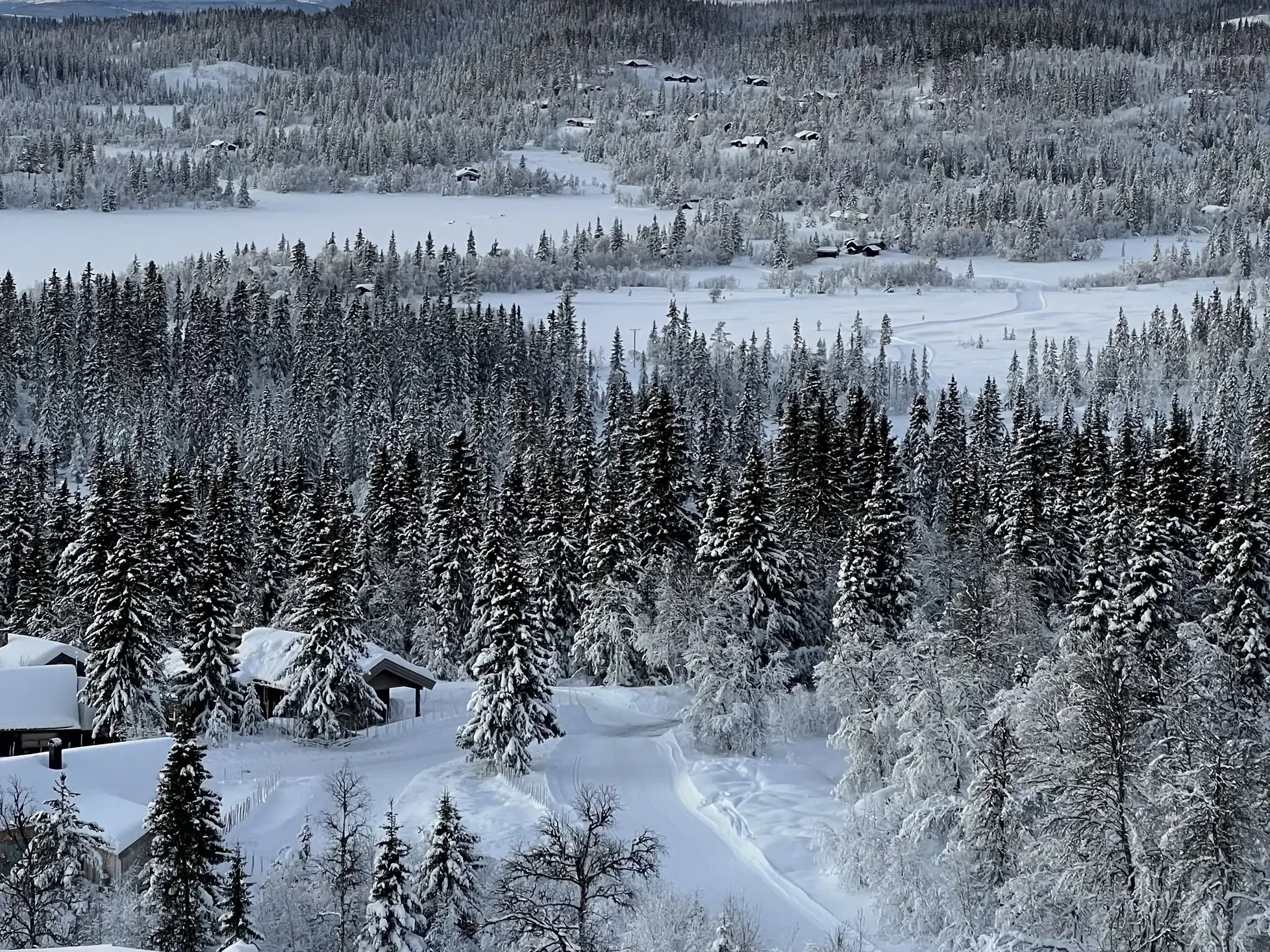 Weite, schneebedeckte Winterlandschaft mit Nadelwäldern und einer Langlauf-Loipe in der Region Valdres in Norwegen.