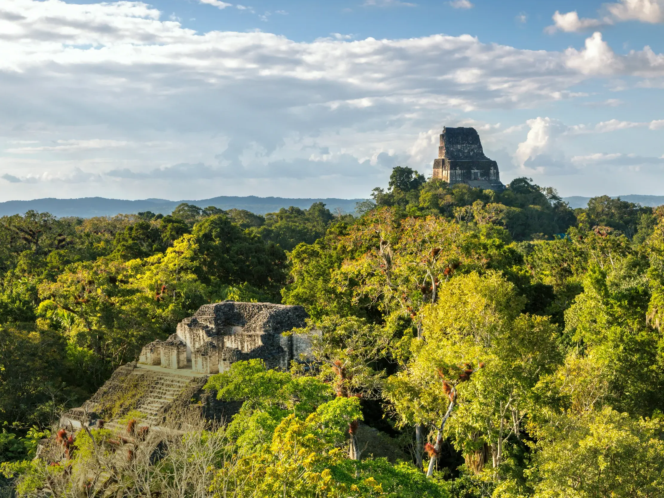 Gigantischer Ausblick auf die Tempelpyramiden von Tikal, die aus dem dampfenden Blätterdach des Regenwalds in Guatemala ragen.