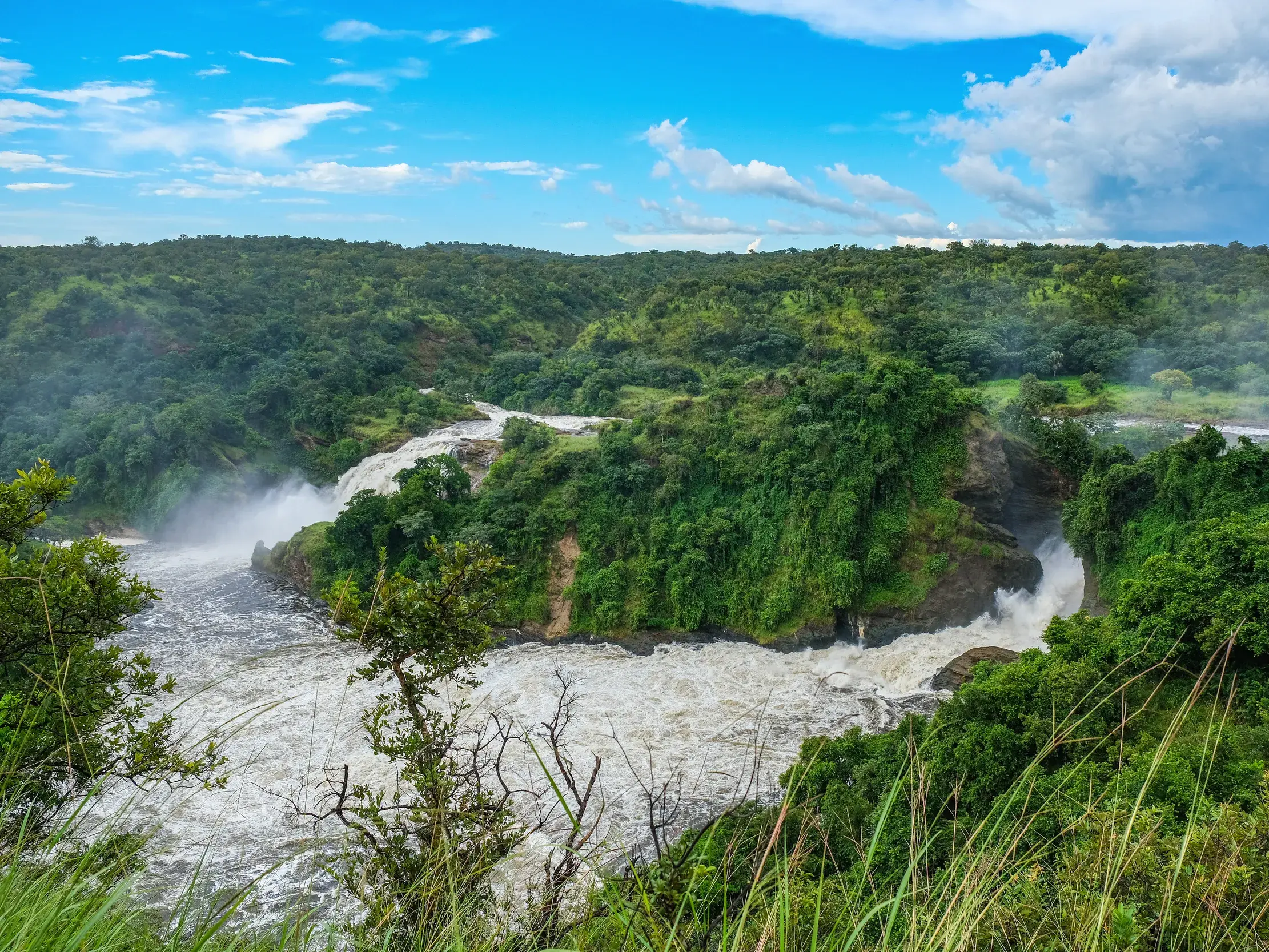 Die gewaltigen Murchison-Wasserfälle im Nationalpark von Uganda, wo der Nil durch eine enge Schlucht in die Tiefe stürzt.