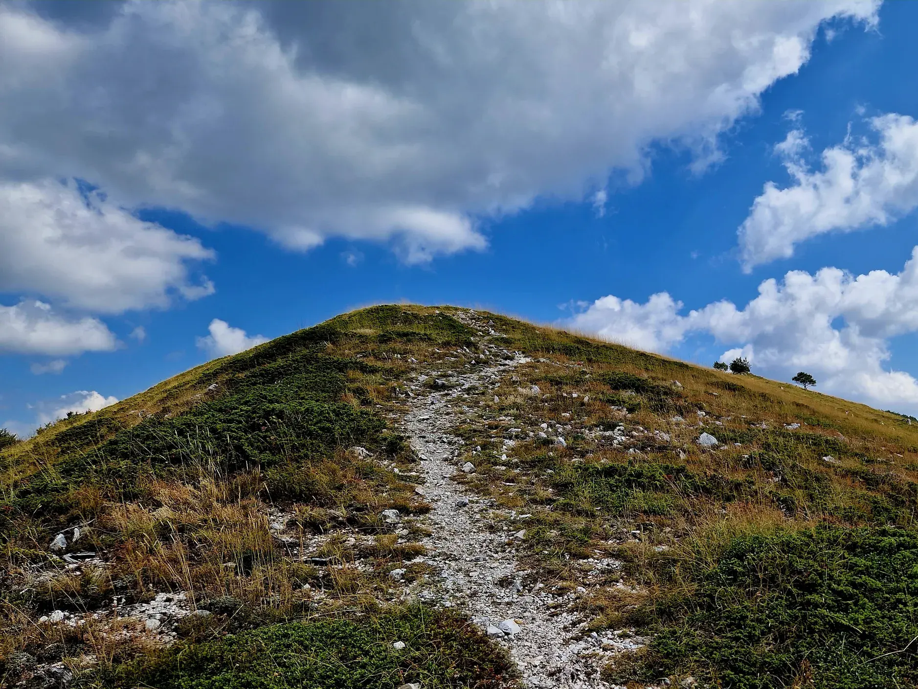 Ein steiniger Wanderpfad führt einen grasbewachsenen Berghang im Sirente Velino Regionalpark hinauf unter blauem Wolkenhimmel.