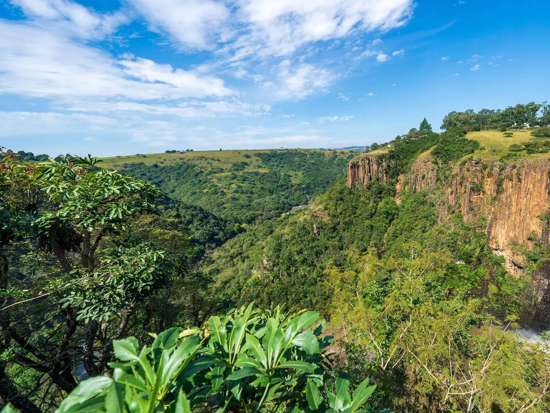 Panoramablick auf die Howick Falls in Südafrika, die von einer Felsklippe in ein dicht bewaldetes, grünes Tal stürzen.