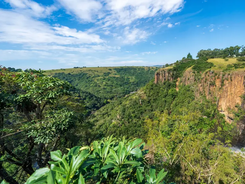 Panoramablick auf die Howick Falls in Südafrika, die von einer Felsklippe in ein dicht bewaldetes, grünes Tal stürzen.