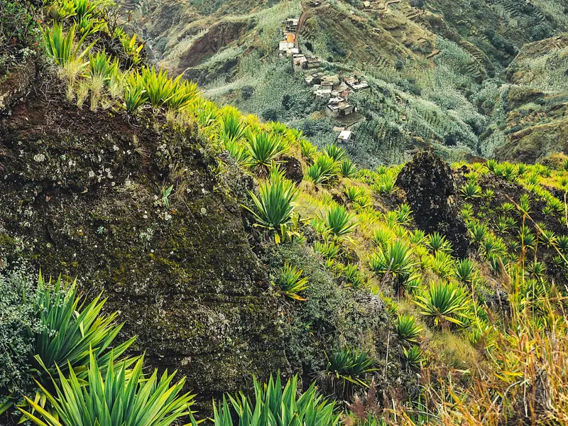Blick von einem üppig bewachsenen Vulkanhang auf ein Bergdorf im grünen Tal der Insel Santo Antao auf den Kapverden.