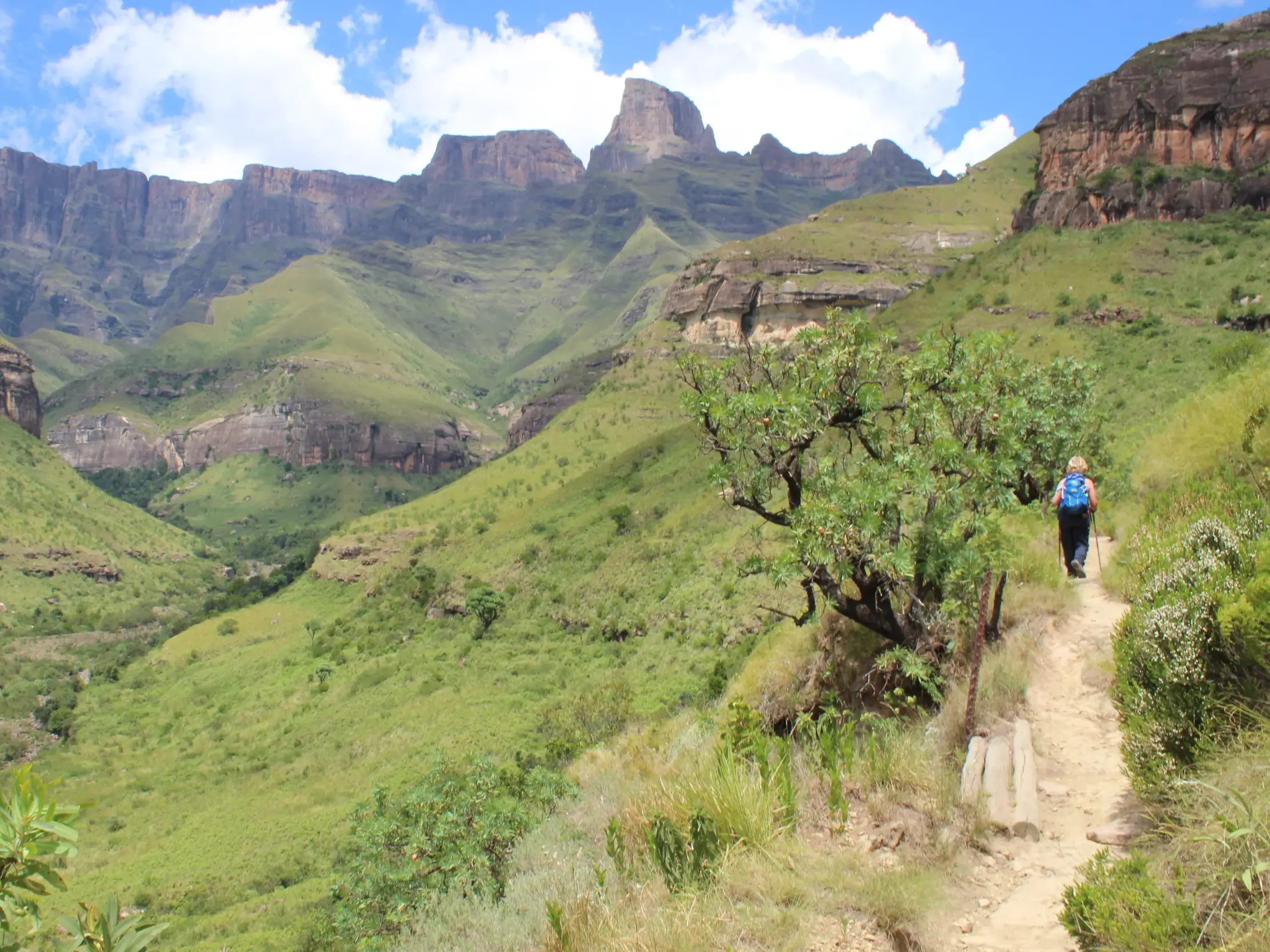 Eine Wanderin mit Trekkingstock auf dem Weg zur Tugela Schlucht mit Panoramablick auf das Amphitheater der Drakensberge.