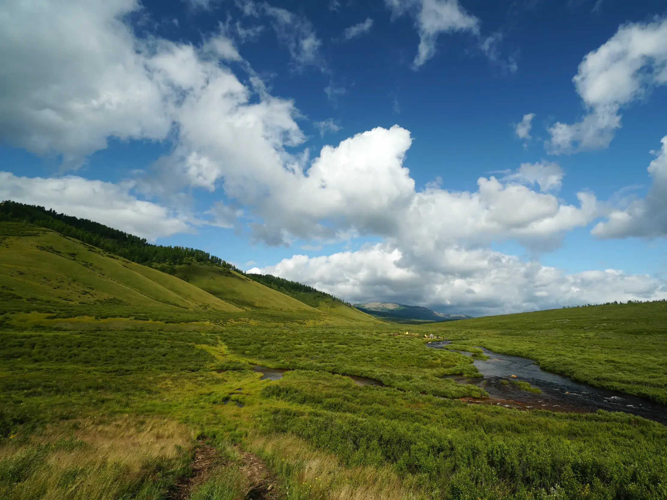 Ein Wanderpfad führt durch ein weites, grünes Tal im Khan-Khentii-Nationalpark, durch das sich ein kleiner Fluss schlängelt.