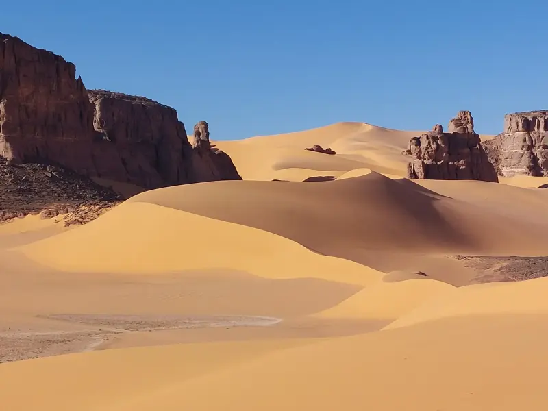 Goldgelbe Sanddünen erstrecken sich vor roten, erodierten Wüstenbergen im algerischen Tadrart unter strahlend blauem Himmel.