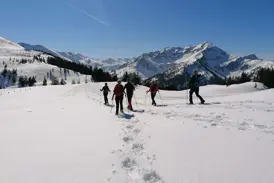 Eine geführte Gruppe beim Schneeschuhwandern durch eine sonnige, tief verschneite Berglandschaft der Kitzbüheler Alpen.