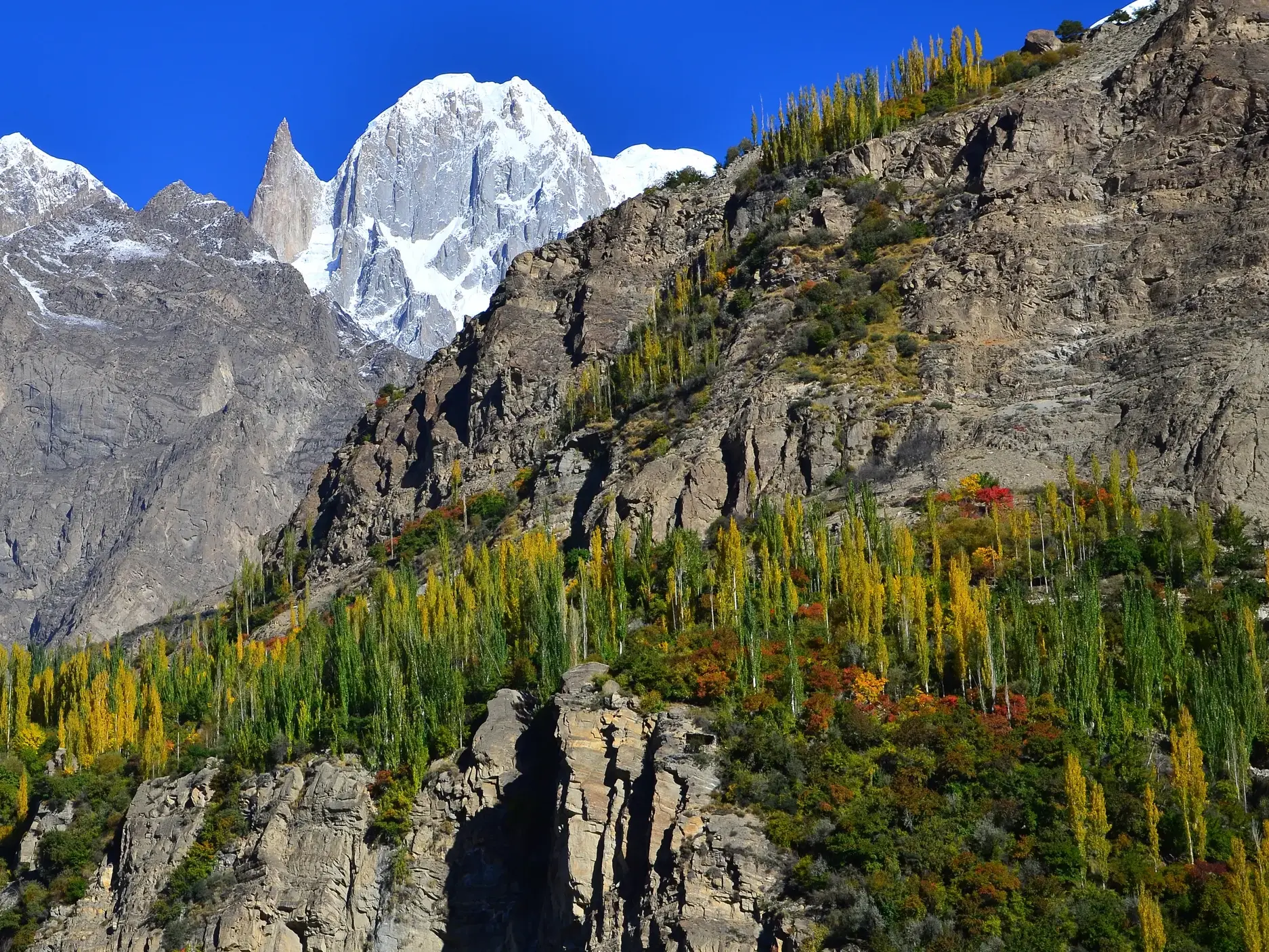 Majestätische, schneebedeckte Gipfel des Karakorum-Gebirges ragen über herbstlich gefärbten Bäumen im Hunzatal empor.