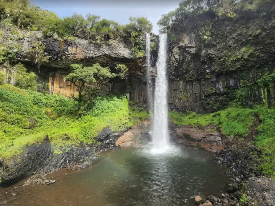 Der tosende Chania-Wasserfall stürzt im Aberdare-Nationalpark über eine moosbewachsene Felswand in ein Becken.