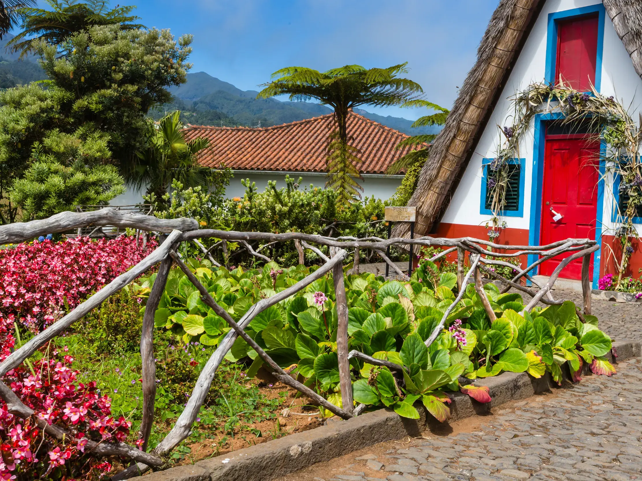 Traditionelles, bunt bemaltes Haus in Santana mit Strohdach, umgeben von einem blühenden Garten vor der Bergkulisse Madeiras.