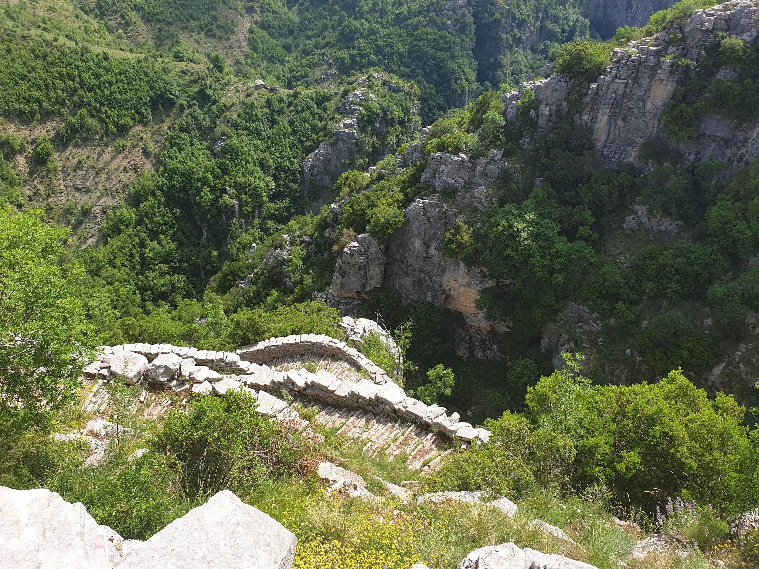 Historischer Steinweg am Rande der tiefen, grünen Vikos-Schlucht in der abgeschiedenen Zagori-Region Griechenlands.