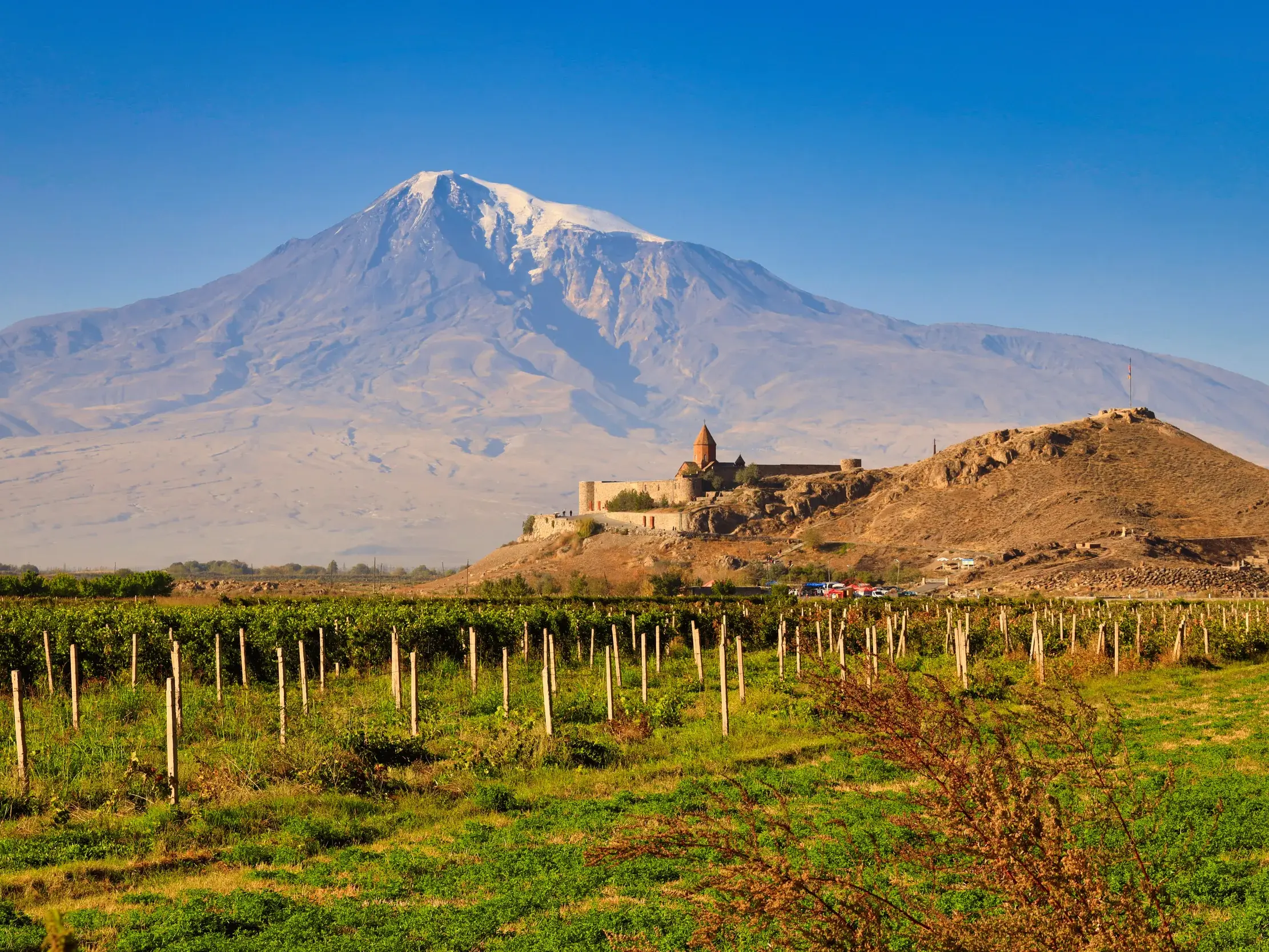 Grüne Weinberge in der Ararat-Ebene mit Blick auf das Kloster Khor Virap und den schneebedeckten Berg Ararat.