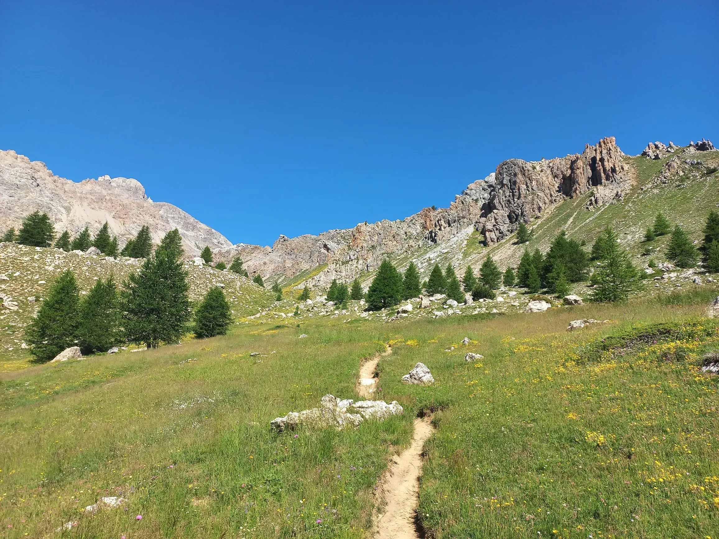 Schmaler Wanderpfad durch eine blühende Almwiese im Maira-Tal. Im Hintergrund ragen felsige Alpengipfel in den blauen Himmel.