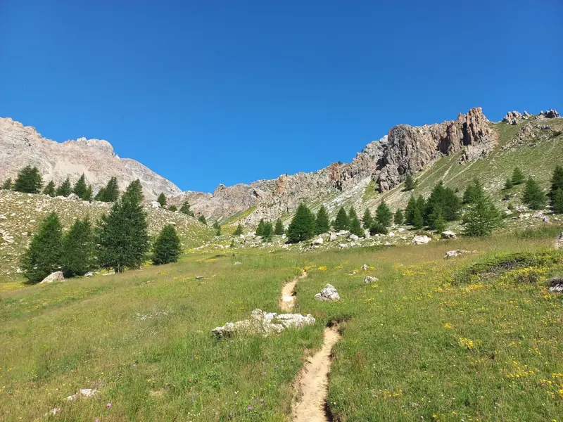 Schmaler Wanderpfad durch eine blühende Almwiese im Maira-Tal. Im Hintergrund ragen felsige Alpengipfel in den blauen Himmel.