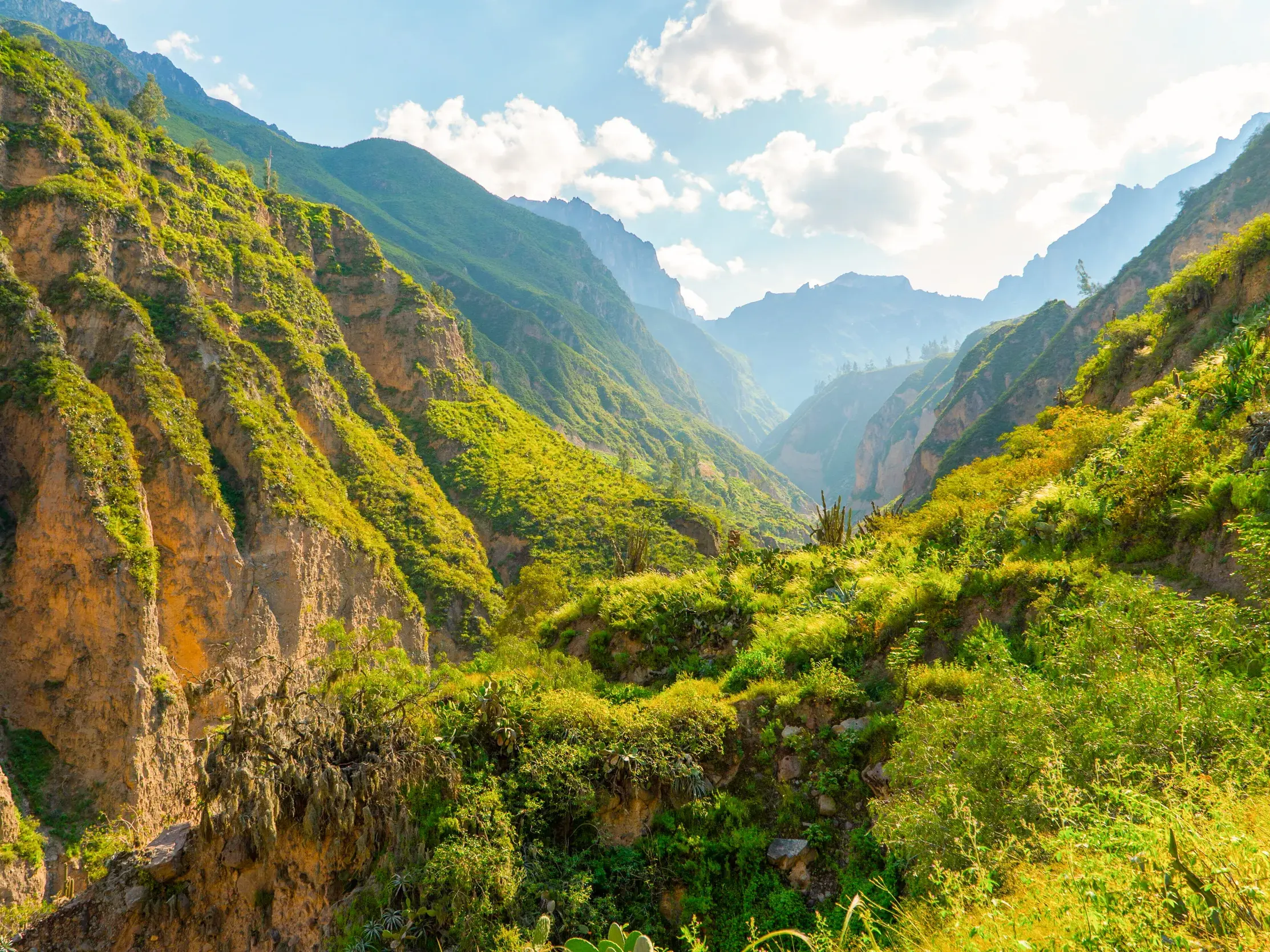 Sonnendurchfluteter Blick während einer Wanderreise in den tiefen, üppig grünen Colca-Canyon in den Anden Perus.