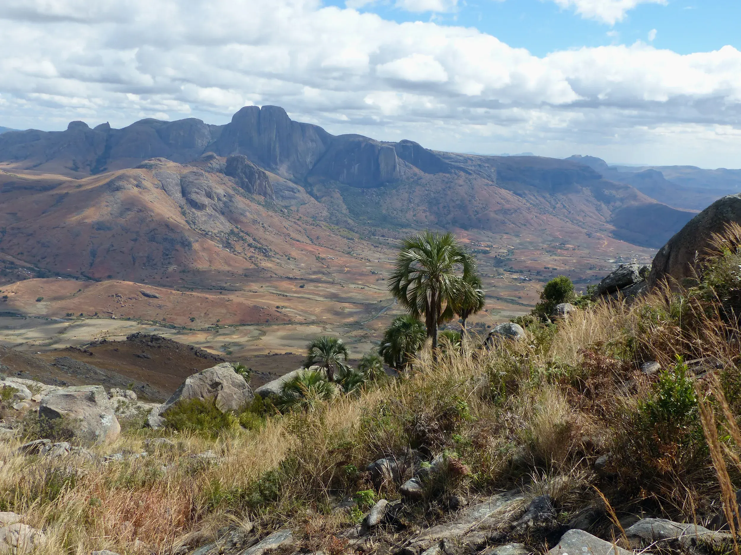 Weite Aussicht beim Trekking in Madagaskar über ein Tal mit Palmen auf die schroffen Felsgipfel des Andringitra-Massivs.