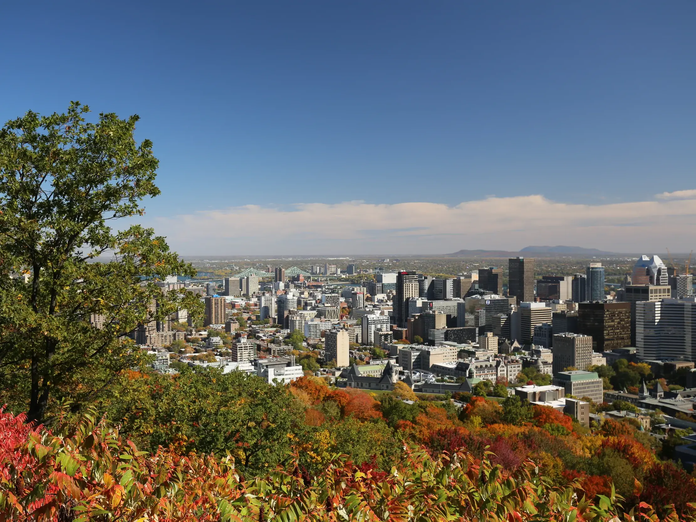Blick vom Mont Royal auf die Skyline von Montréal, umgeben von farbenprächtigem Herbstlaub des Indian Summer.