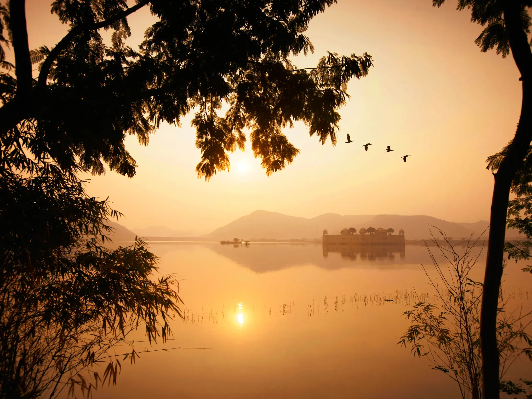 Der Wasserpalast Jal Mahal im Man Sagar See in Jaipur bei Sonnenuntergang, gerahmt von Baum-Silhouetten vor den Aravalli-Bergen.