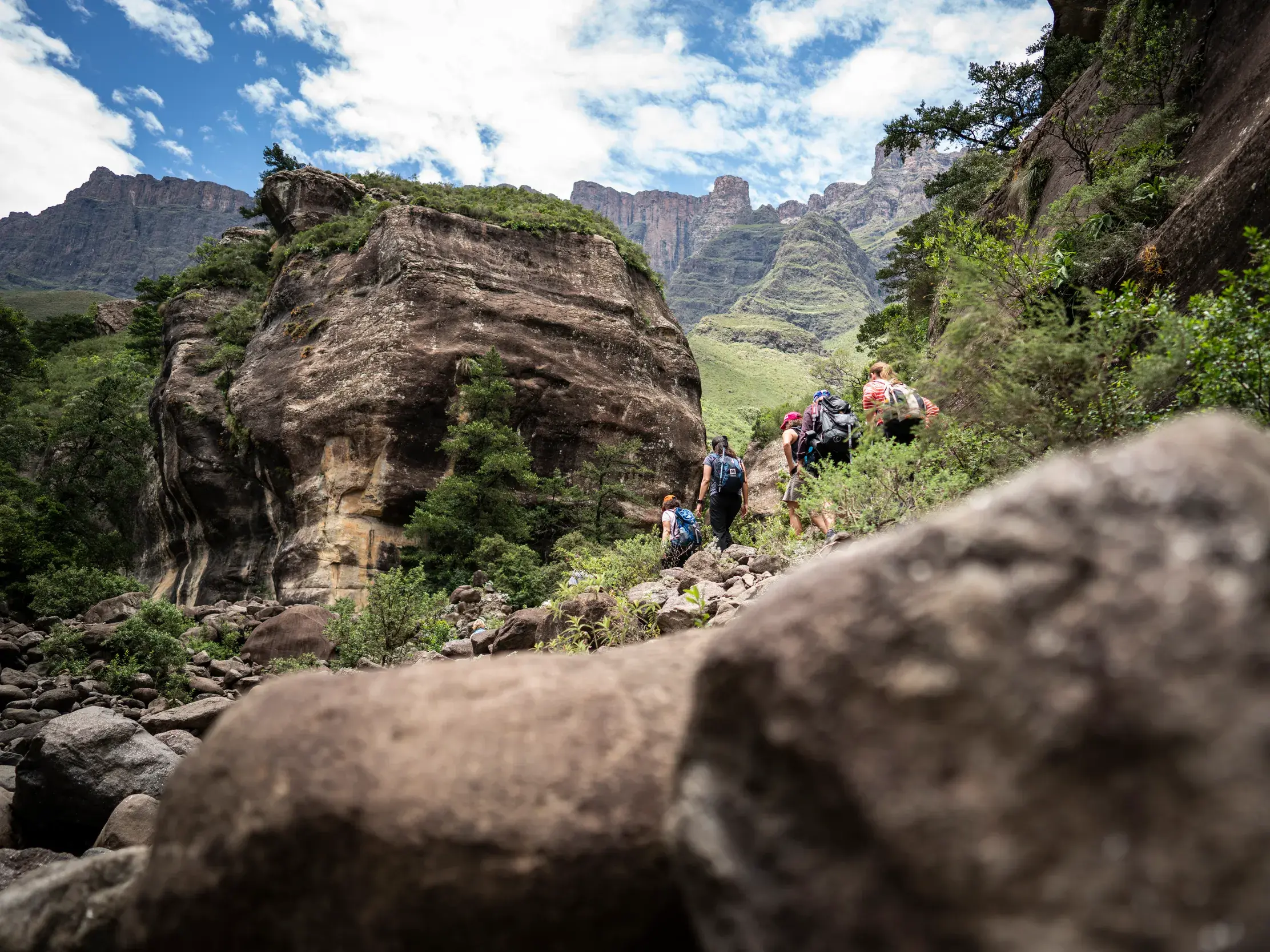 Eine Reisegruppe wandert auf einem felsigen Pfad durch die imposante, grüne Berglandschaft der Drakensberge in Südafrika.