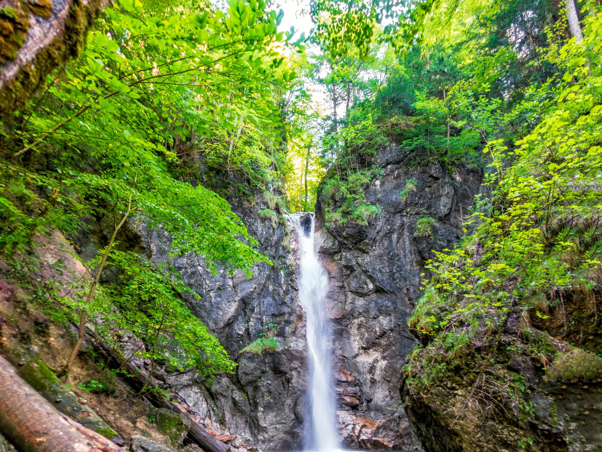 Der Lainbachfall stürzt in einer engen Schlucht hinab, eingerahmt von üppigem Grün und bemoosten Felsen bei Kochel am See.