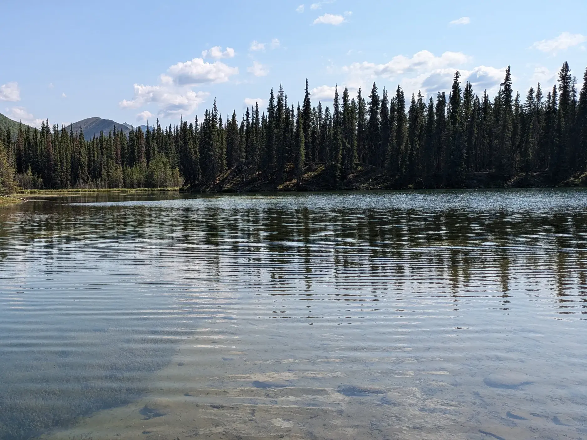 Ruhiger Bergsee auf der Kenai-Halbinsel in Alaska mit klarem Wasser, umgeben von dichten Nadelwäldern und Bergen.