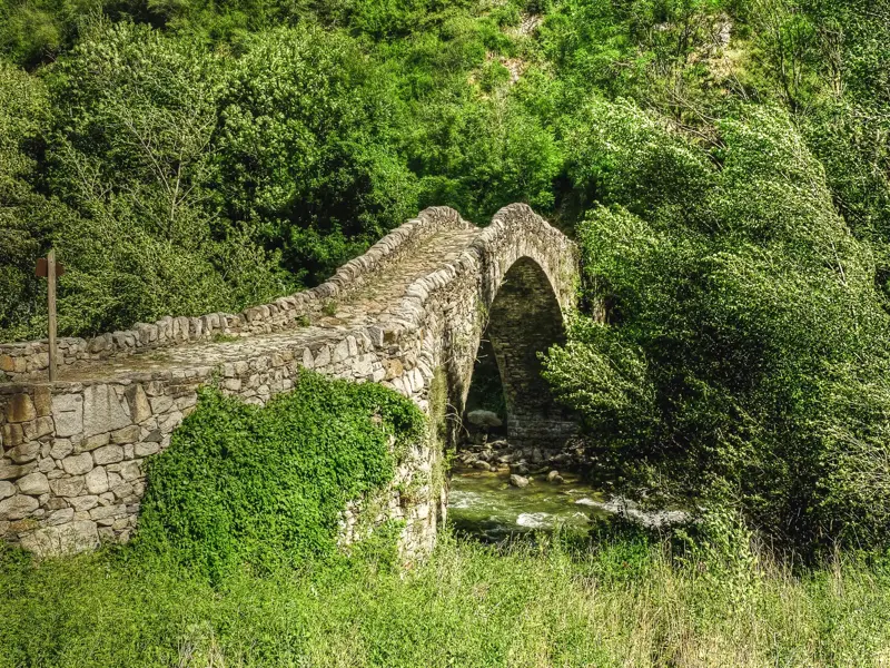 Historische, mit Efeu bewachsene Steinbogenbrücke über einen Bach in den grünen Wäldern des Madriu-Tals in Andorra.