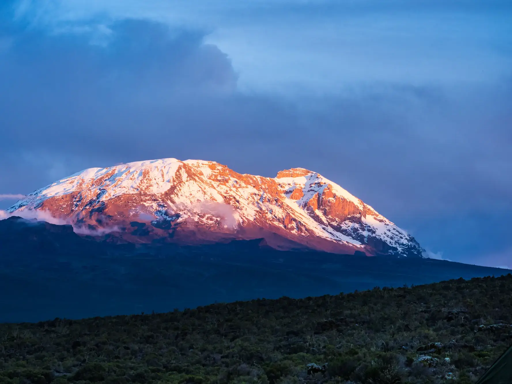 Der schneebedeckte Gipfel des Kilimanjaro in Tansania leuchtet im goldenen Licht des Sonnenaufgangs über der Berglandschaft.