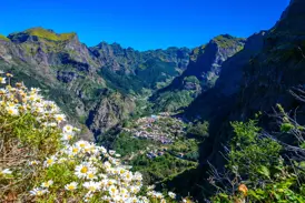 Weiße Blumen am Wanderweg mit Panoramablick auf das Dorf Curral das Freiras, das tief im Nonnental auf Madeira liegt.