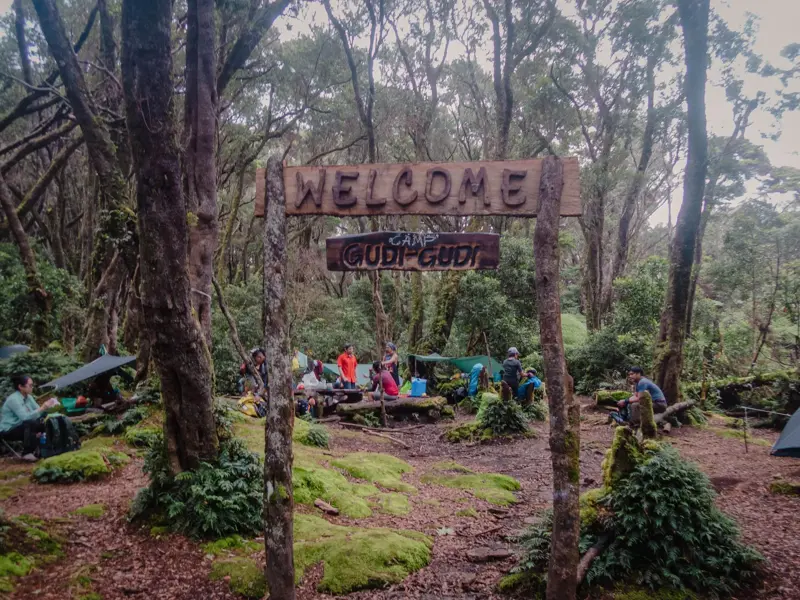 Hauser-Reisegruppe zeltet im Camp Gudi-Gudi auf dem Akiki Trail im dichten Wald des Mt. Pulag Nationalparks.