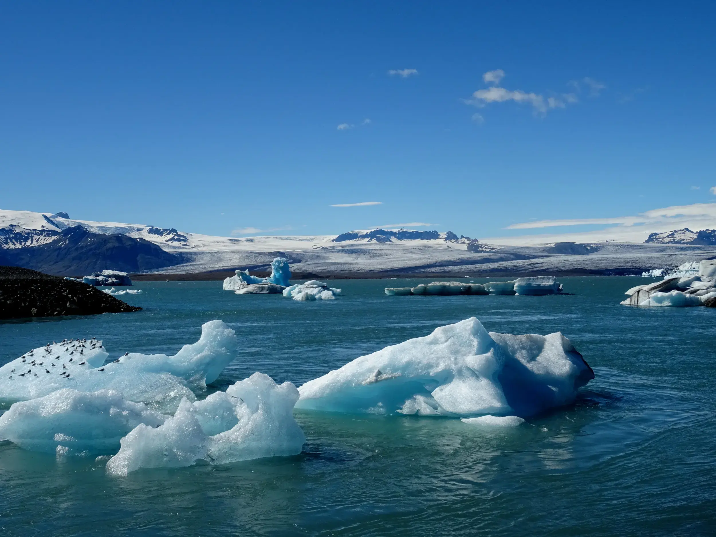 Strahlend blaue Eisberge treiben in der Gletscherlagune Jökulsárlón vor der weiten Eiskappe des Vatnajökull in Island.