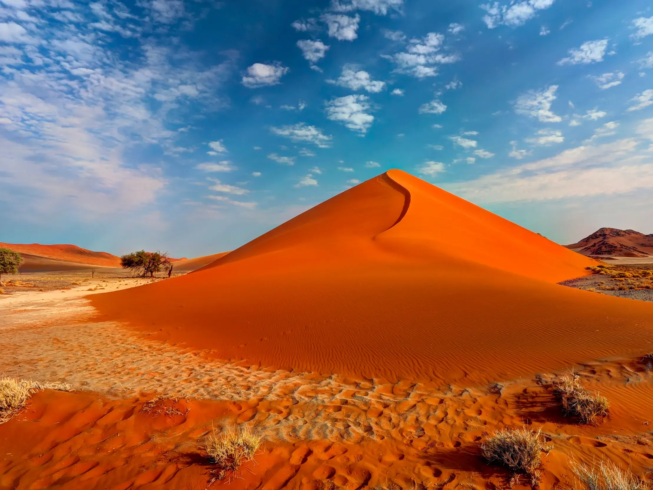 Eine hohe, orangerote Sanddüne im Sossusvlei in der Namib-Wüste, ein Naturerlebnis auf einer Studienreise durch Namibia.