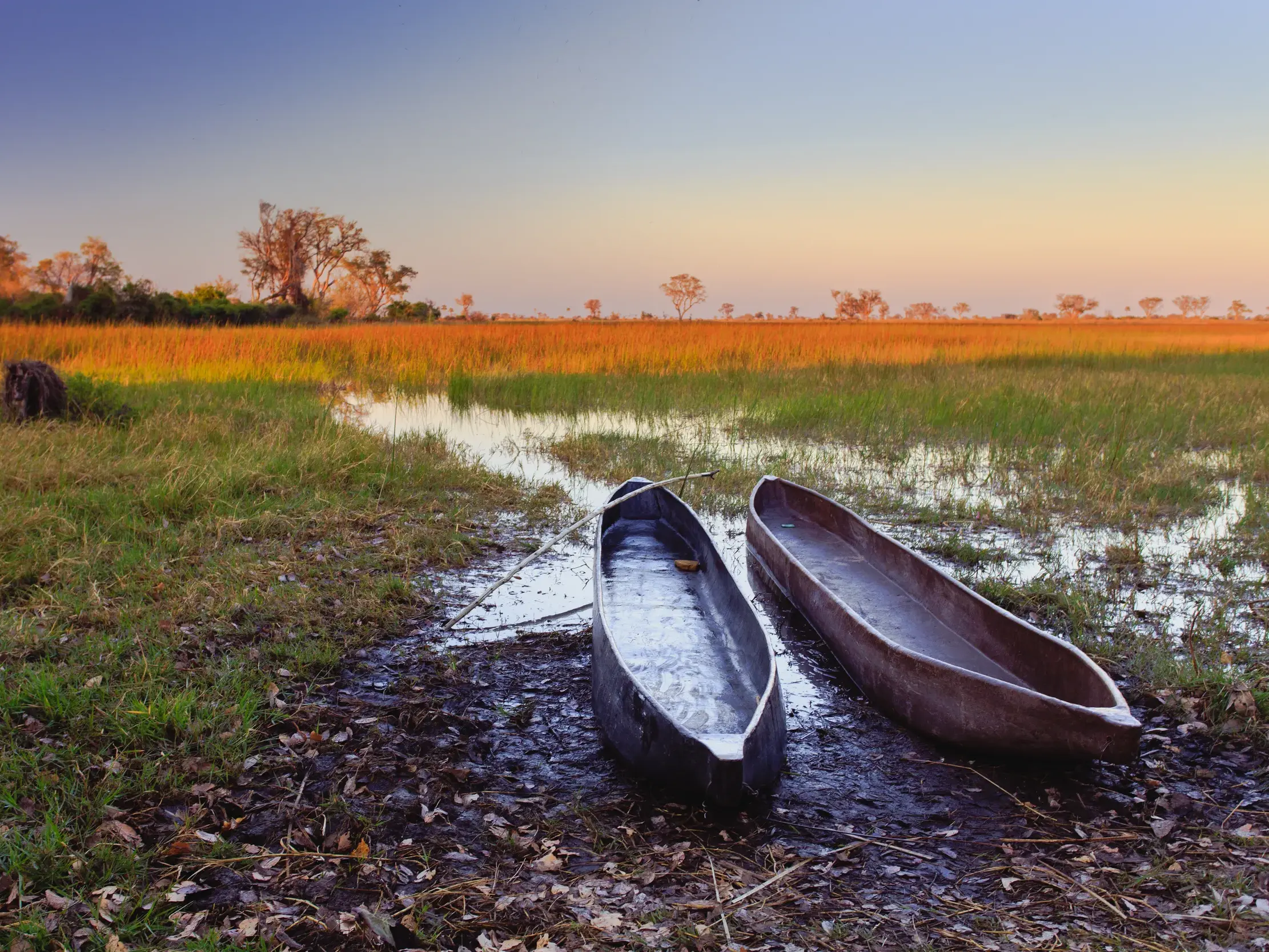 Zwei traditionelle Einbaum-Boote (Mokoros) warten im warmen Abendlicht am Ufer des Okavango Deltas in Botswana.