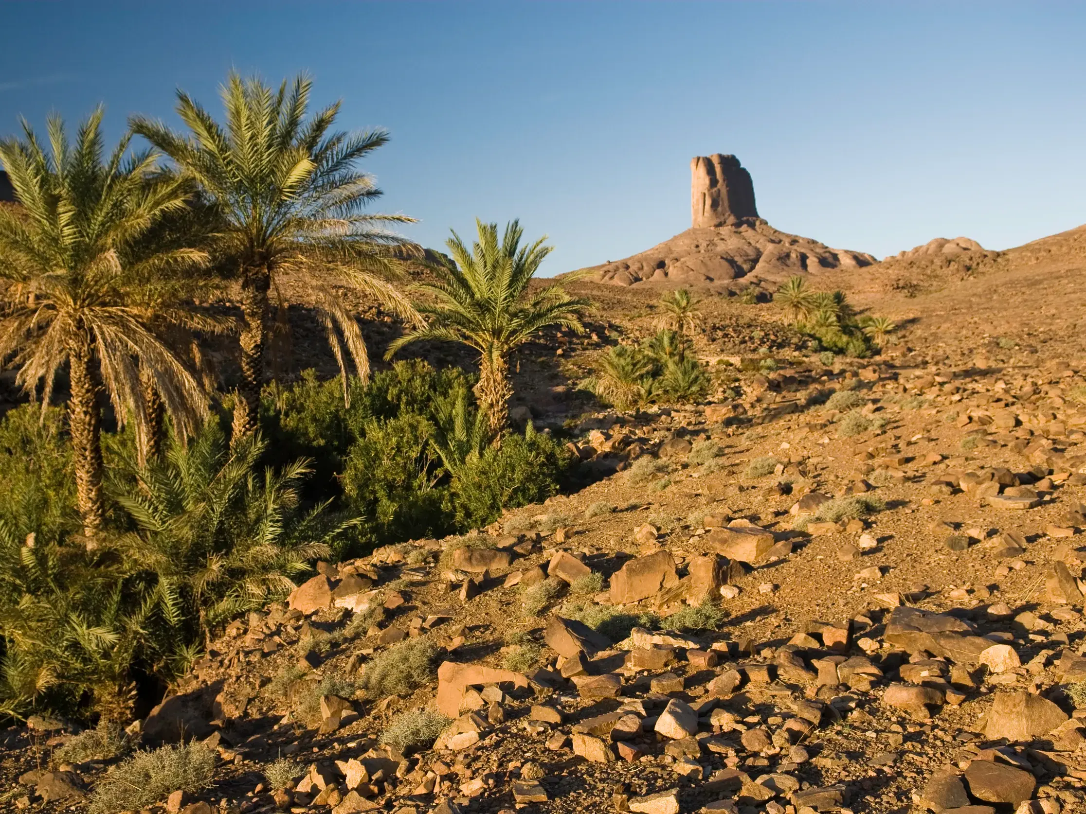 Das monumentale Felsentor Bab n'Ali über einer grünen Oase in der kargen, steinigen Landschaft des Saghro-Gebirges.