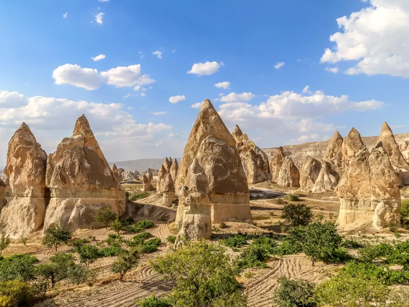 Spitze, beige Tuffsteinkegel, bekannt als Feenkamine, in der weiten, bizarren Landschaft von Kappadokien unter blauem Himmel.