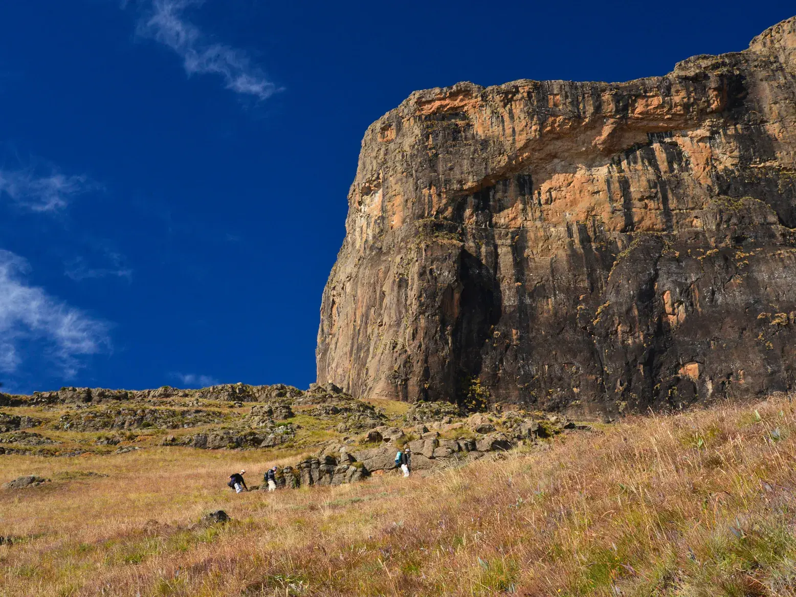 Eine kleine Trekkinggruppe wandert auf einem grasbewachsenen Pfad am Fuße der gewaltigen Felswand des Sentinel in Südafrika.