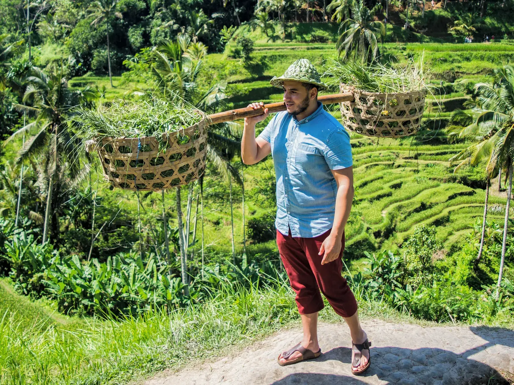 Ein Teilnehmer einer Kleingruppenreise trägt auf Bali eine Schulterstange mit Körben durch die leuchtend grünen Reisterrassen.