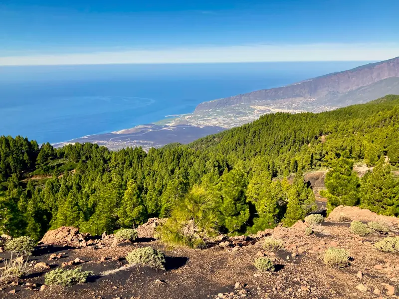Panoramablick beim Wandern auf der Vulkanroute Cumbre Vieja über grüne Kiefernwälder und Lavafelder zur Küste La Palmas.