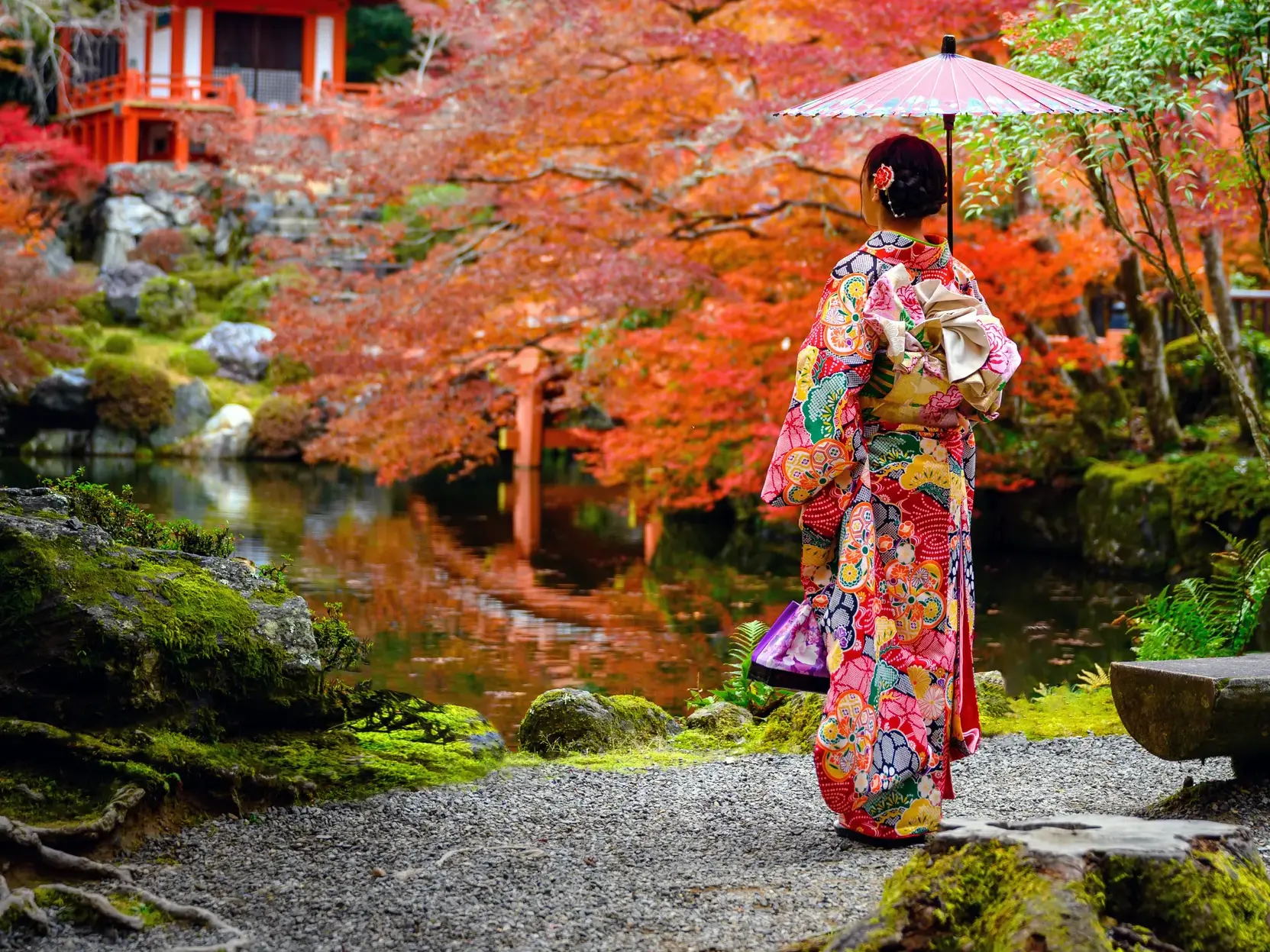 Frau im Kimono mit Schirm blickt auf einen Teich in einem japanischen Garten in Kyoto während der bunten Herbstlaubfärbung.