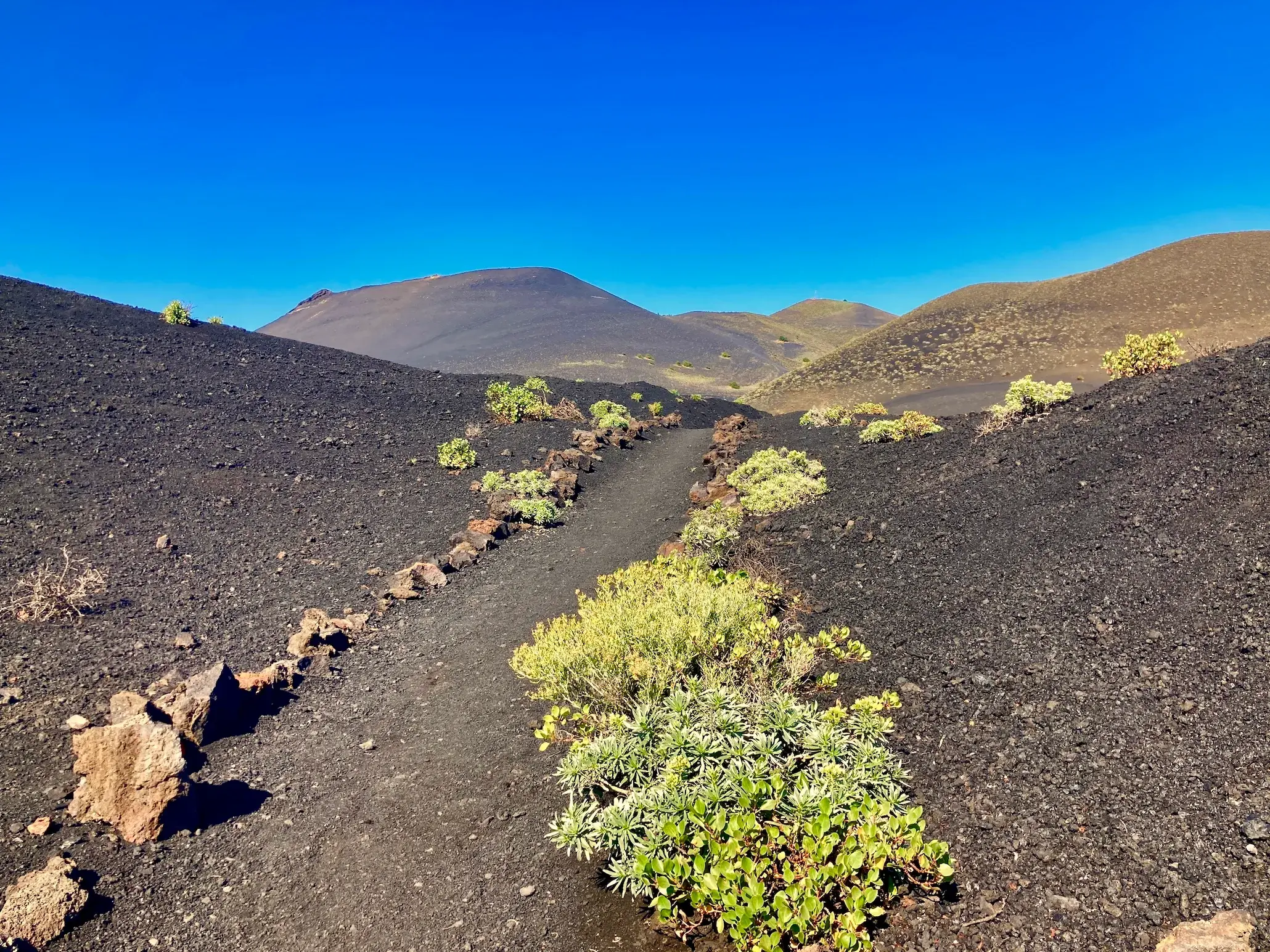 Ein schmaler, von Steinen gesäumter Wanderpfad schlängelt sich durch die schwarze Vulkanlandschaft der Cumbre Vieja auf La Palma.