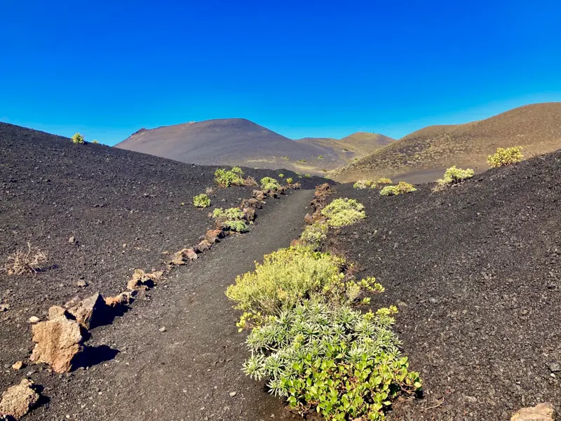 Ein schmaler, von Steinen gesäumter Wanderpfad schlängelt sich durch die schwarze Vulkanlandschaft der Cumbre Vieja auf La Palma.