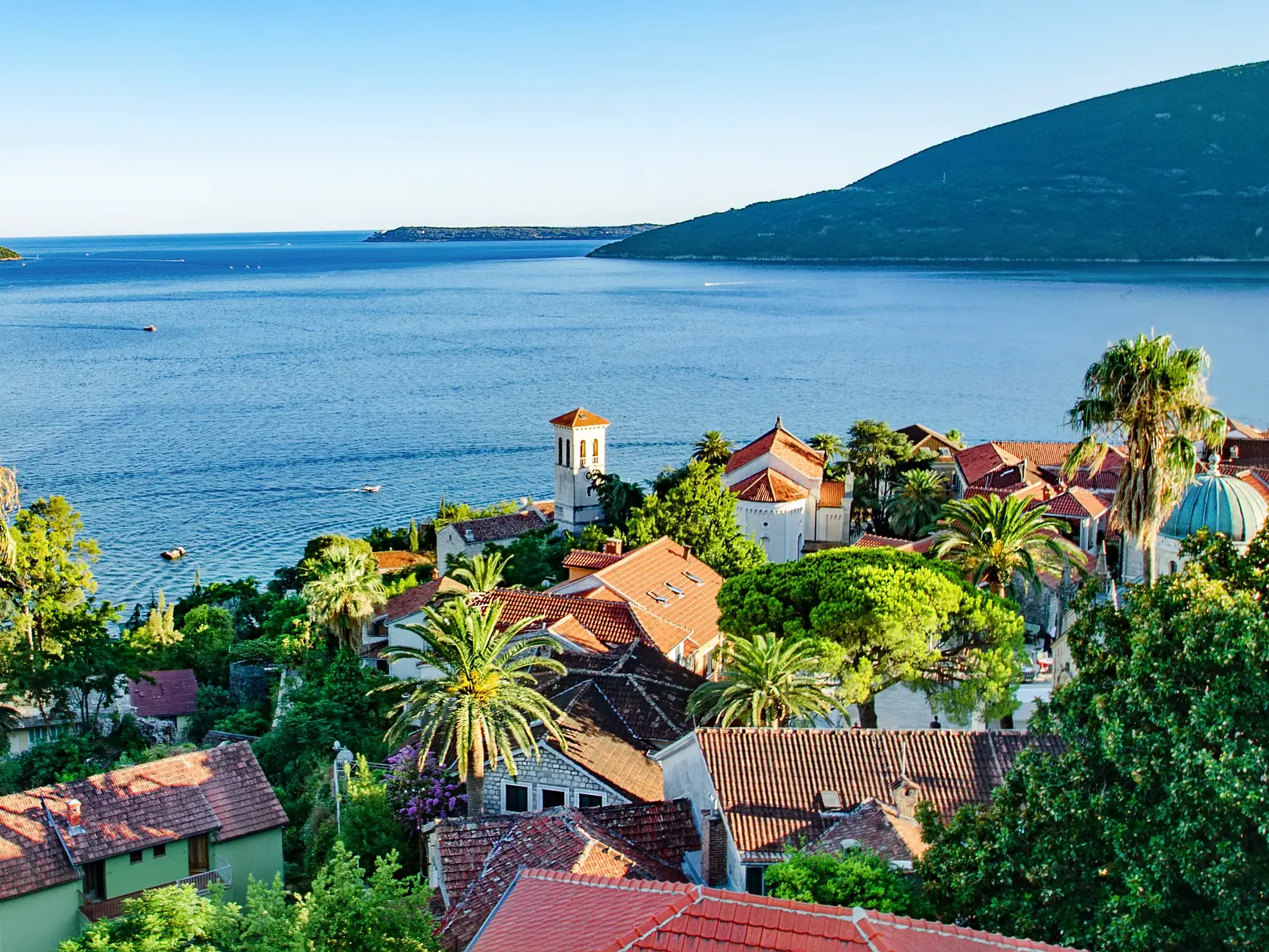 Historische Küstenstadt mit roten Dächern und Palmen an der fjordartigen, blauen Bucht von Kotor in Montenegro.