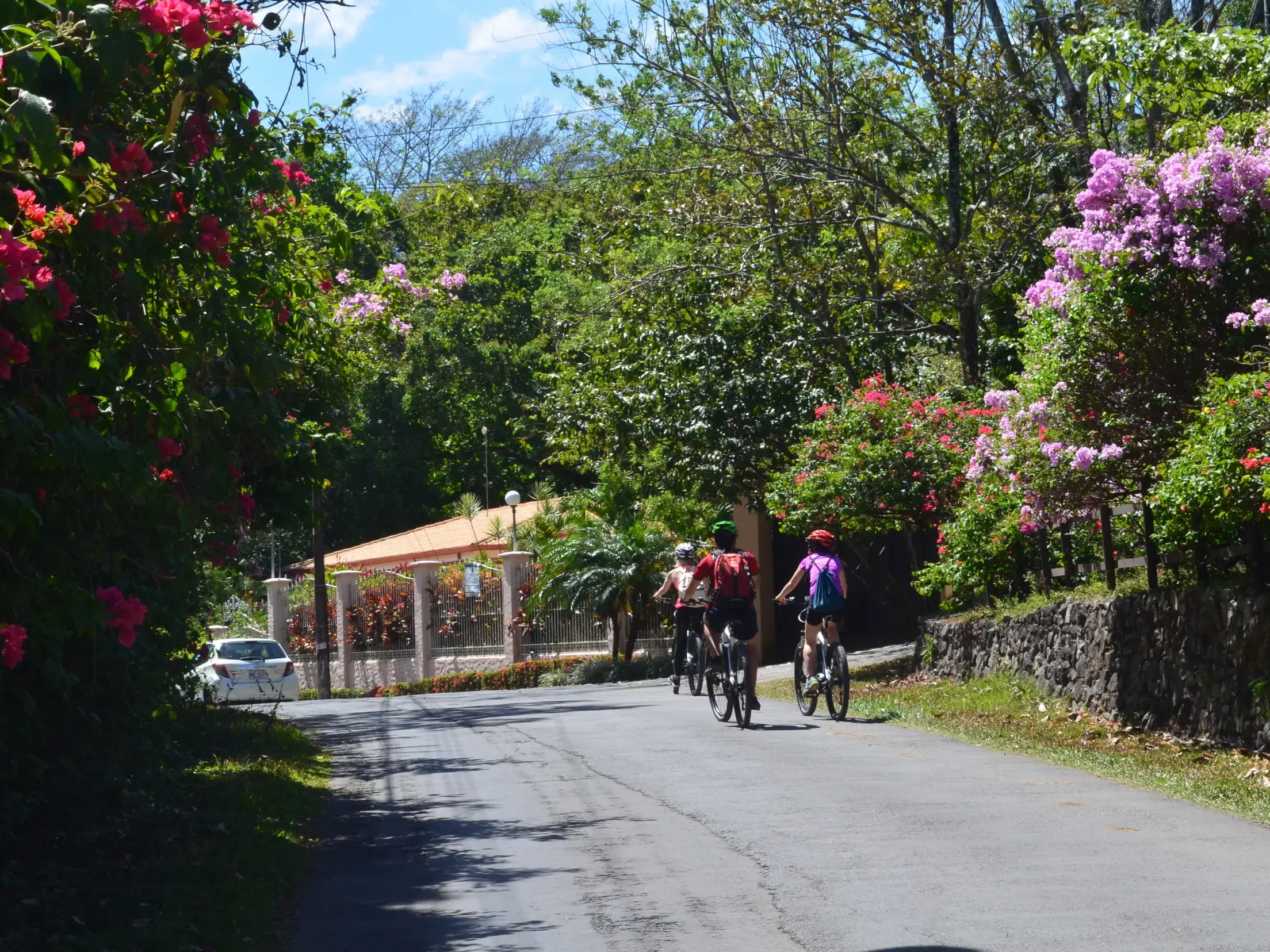 Kleine Rad-Reisegruppe erkundet auf einer Straße in Costa Rica die Landschaft mit üppigen, blühenden Bougainvilleen.