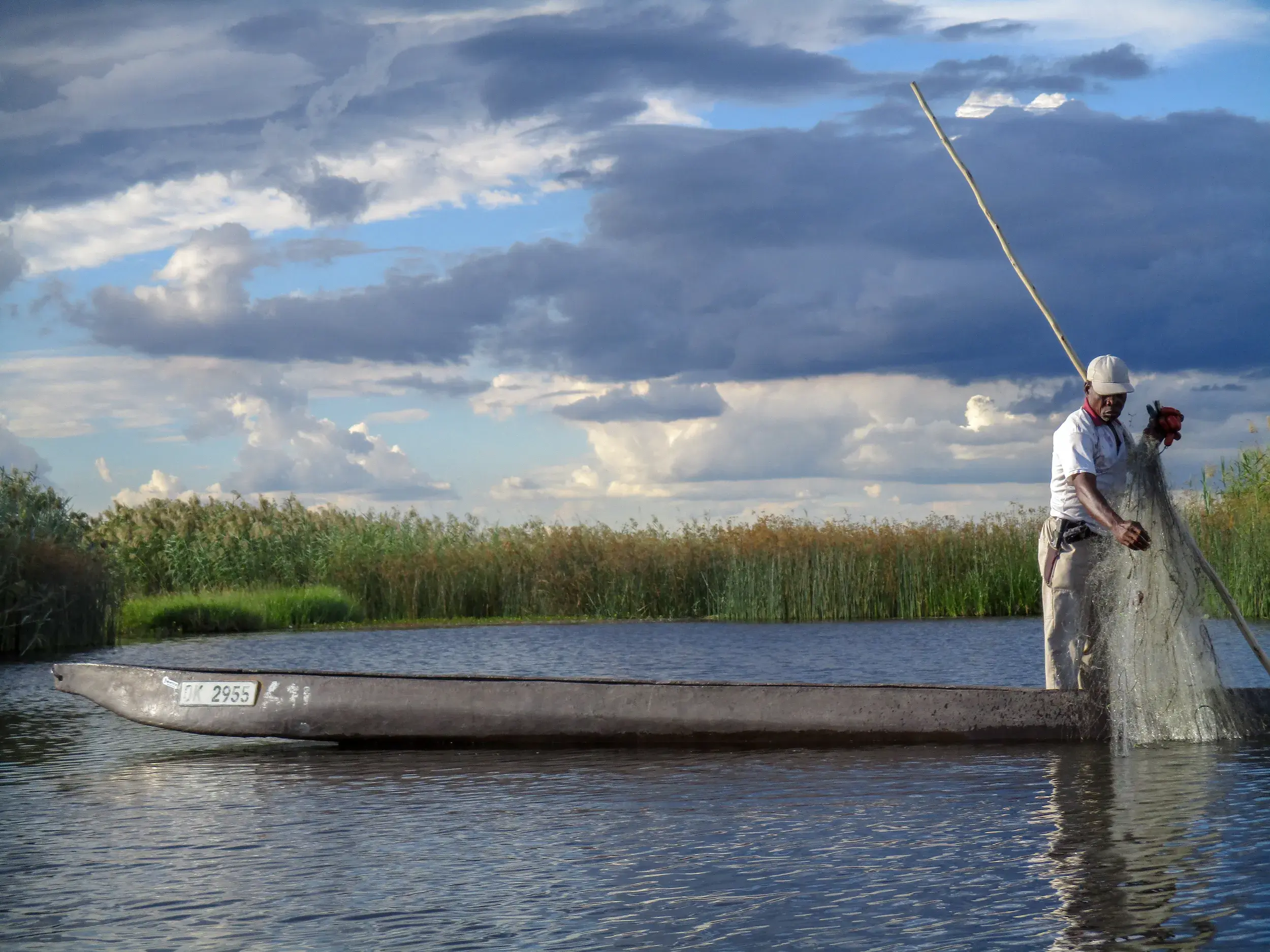 Einheimischer Fischer steht in seinem traditionellen Einbaum im Okavango-Delta und holt ein Fischernetz aus dem Wasser.