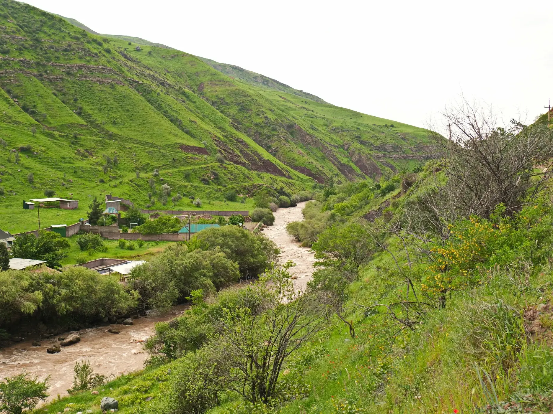 Trekking in Tadschikistan: Ein lehmfarbener Fluss fließt durch das saftig grüne Karatag-Tal vorbei an einem kleinen Dorf.