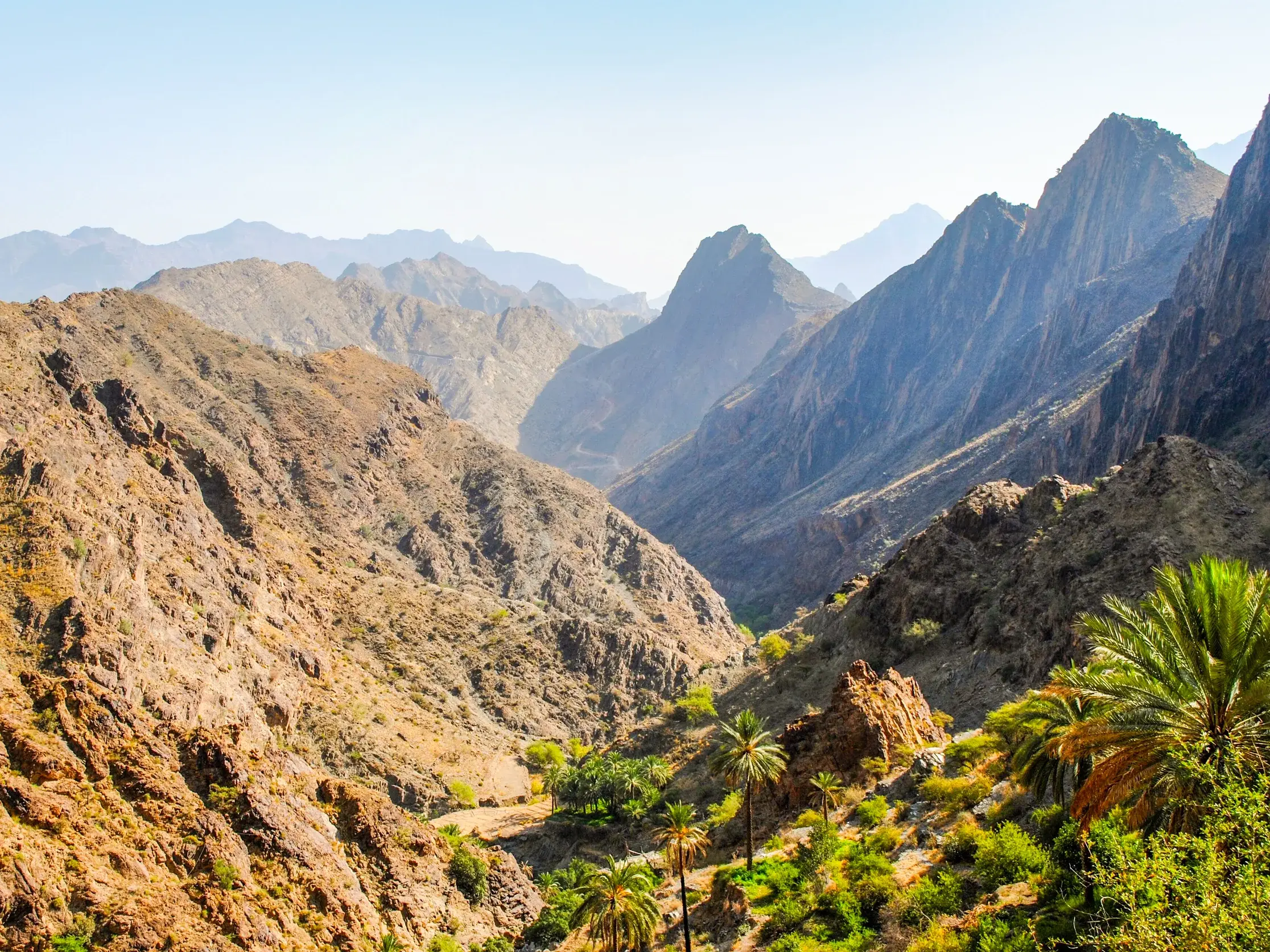 Panoramablick auf die schroffen Felswände des Wadi Sahtan im Oman, im Tal eine grüne Oase mit üppigen Dattelpalmen.